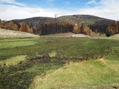 Fire Restoration by Keystone Restoration Ecology