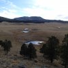 wetland restoration plug and pond structures