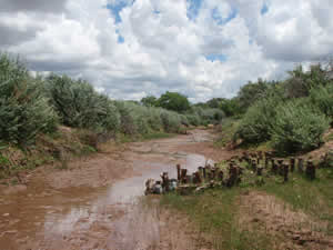 Baffles – Point Bar floodplains