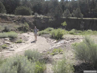 Same area photo taken 4 years later after vegetation has established.