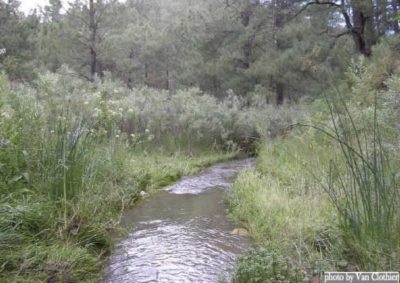 Stream Restoration