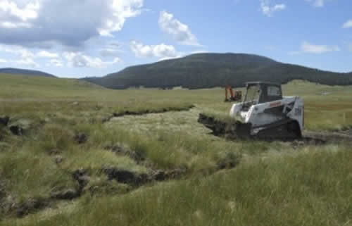 Working with Wetland Sod